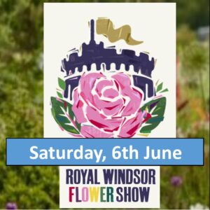 Windsor RHS Flower Show